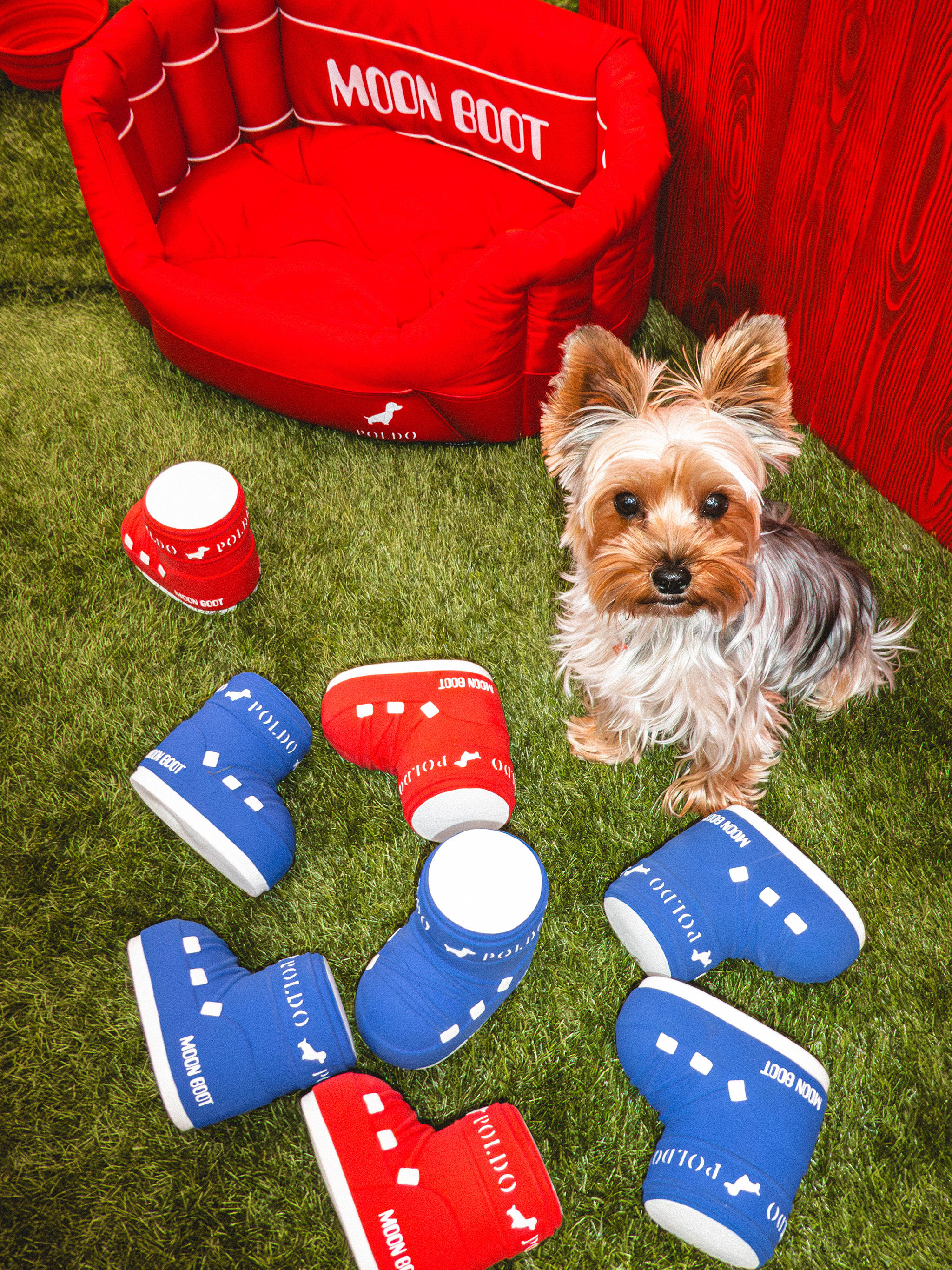 MOON BOOT X POLDO DOG COUTURE BLUE SQUEAKY DOG TOY image number 4