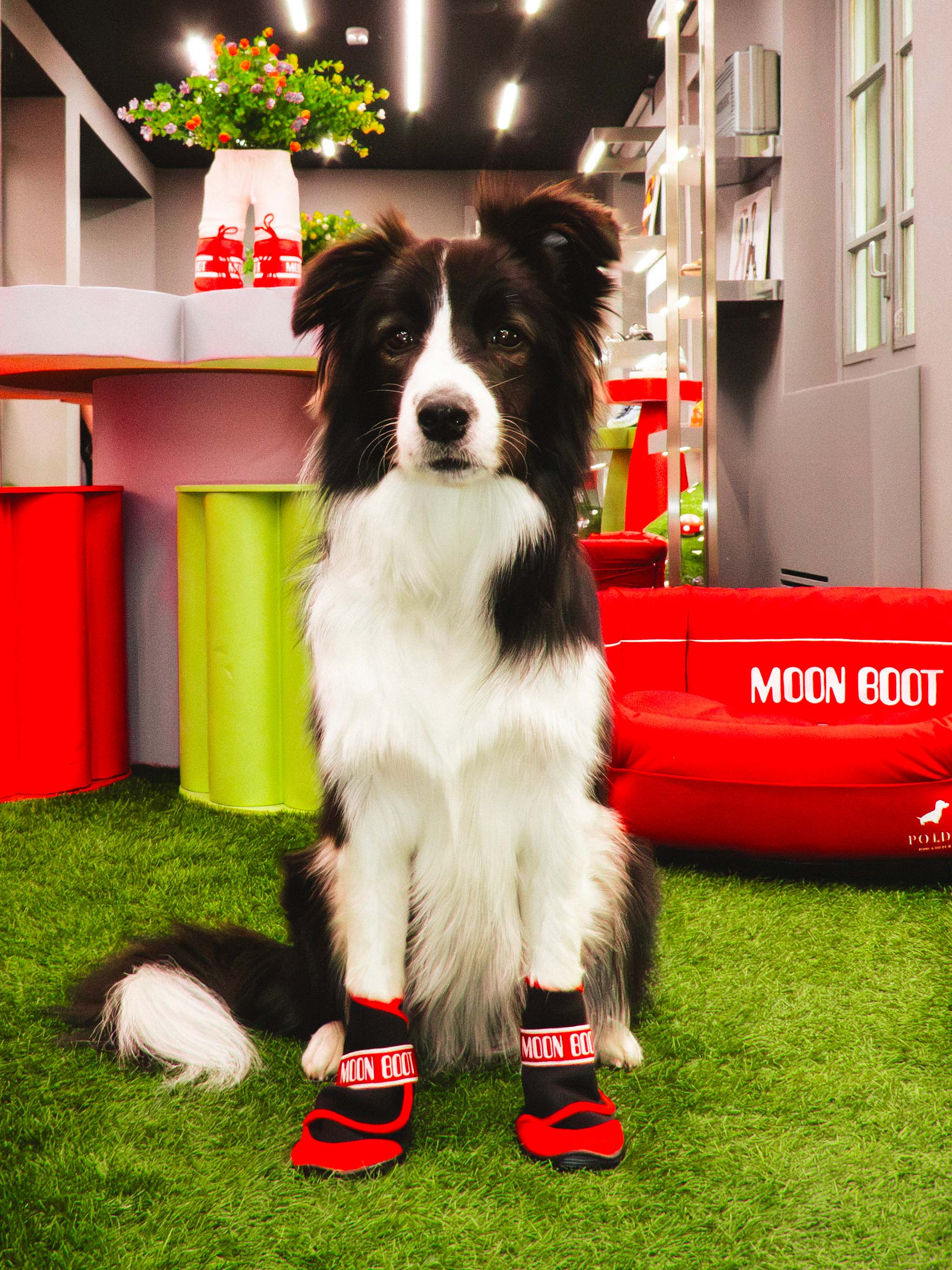 MOON BOOT X POLDO DOG COUTURE RED DOG BOOTS image number 7