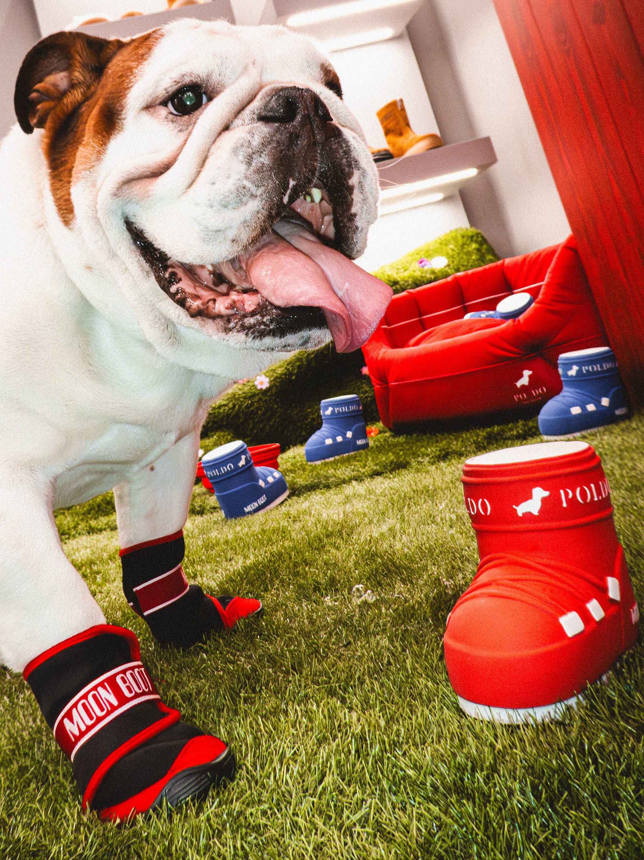 MOON BOOT X POLDO DOG COUTURE RED DOG BOOTS image number 6