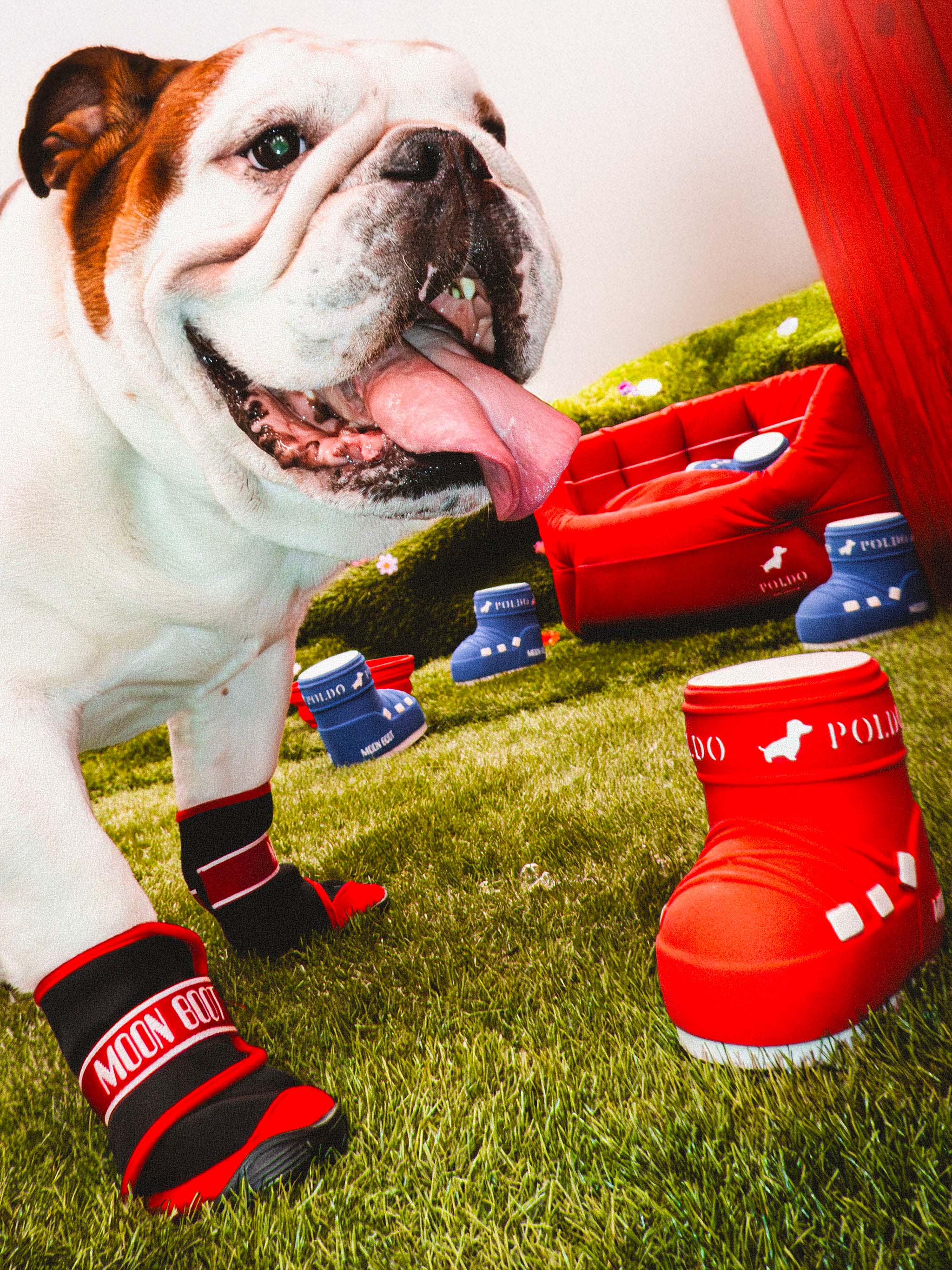 MOON BOOT X POLDO DOG COUTURE RED DOG BOOTS image number 6