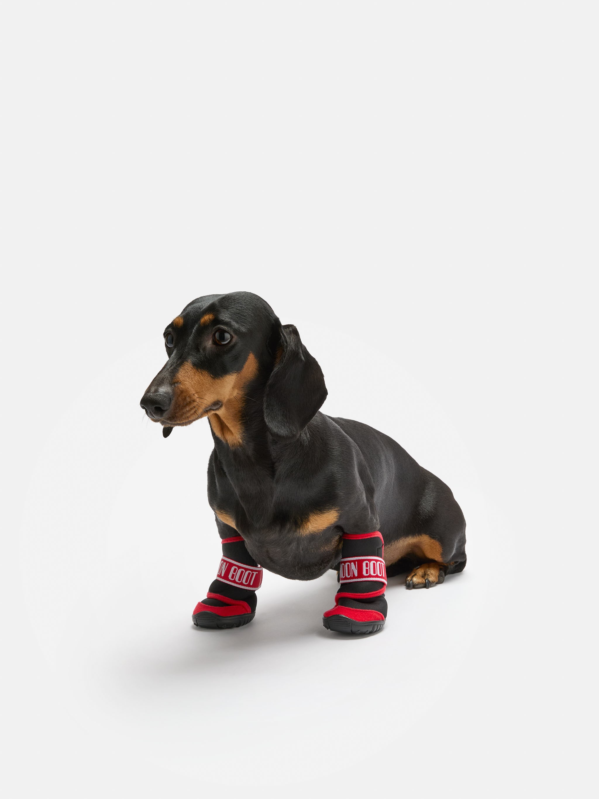 MOON BOOT X POLDO DOG COUTURE RED DOG BOOTS