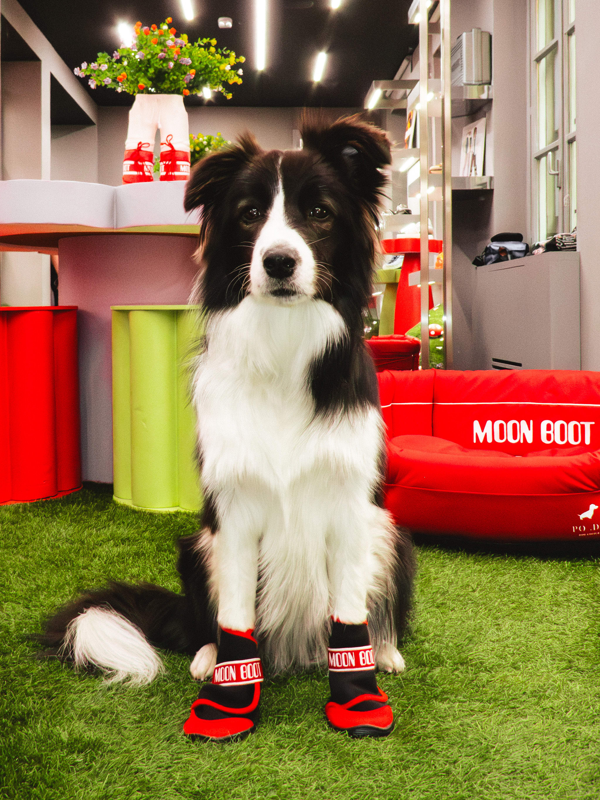 MOON BOOT X POLDO DOG COUTURE RED DOG BOOTS image number 7
